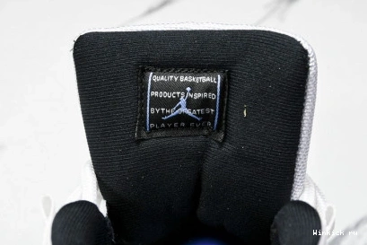 LEGEND AIR 11 RETRO JORDAN BLUE 1116